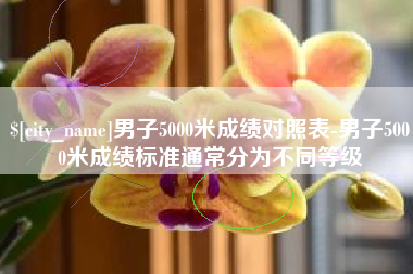 张掖男子5000米成绩对照表-男子5000米成绩标准通常分为不同等级