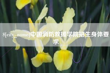 张掖中国消防救援学院招生身体要求