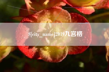 张掖2019九宫格