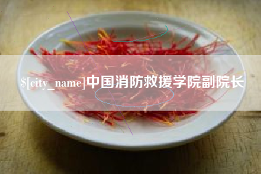 张掖中国消防救援学院副院长