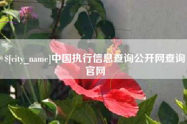 张掖中国执行信息查询公开网查询官网