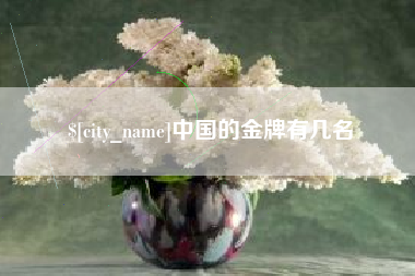 张掖中国的金牌有几名