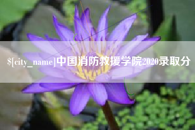 张掖中国消防救援学院2020录取分