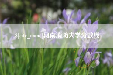 张掖河南消防大学分数线