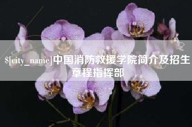 张掖中国消防救援学院简介及招生章程指挥部