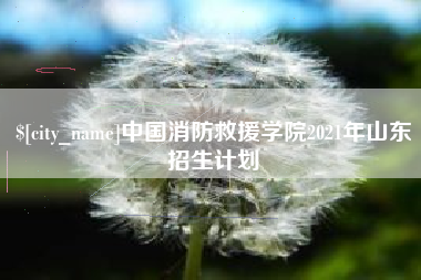 张掖中国消防救援学院2021年山东招生计划