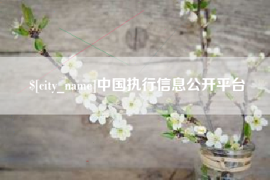 张掖中国执行信息公开平台