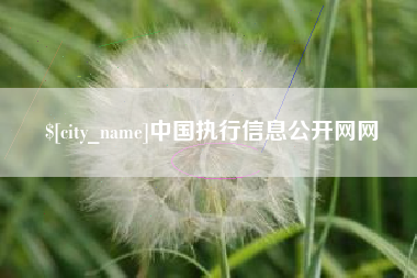 张掖中国执行信息公开网网