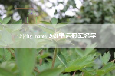 张掖2024奥运冠军名字