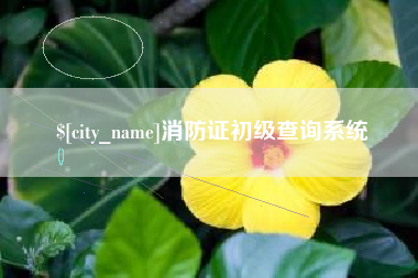 张掖消防证初级查询系统