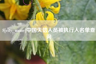 张掖中国失信人员被执行人名单查询