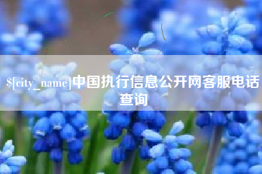 张掖中国执行信息公开网客服电话查询