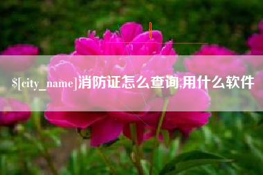 张掖消防证怎么查询,用什么软件