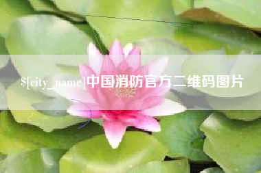 张掖中国消防官方二维码图片