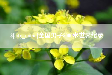 张掖全国男子5000米世界纪录