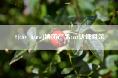 张掖消防产品cccf认证目录