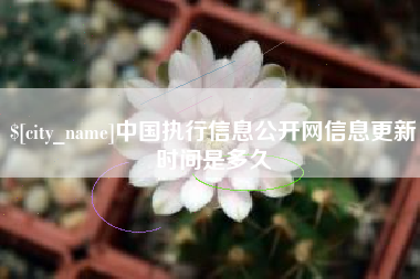 张掖中国执行信息公开网信息更新时间是多久