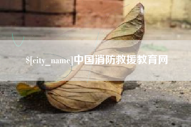 张掖中国消防救援教育网