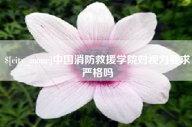 张掖中国消防救援学院对视力要求严格吗