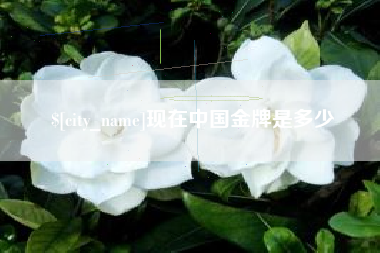 张掖现在中国金牌是多少