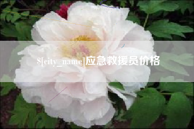 张掖应急救援员价格