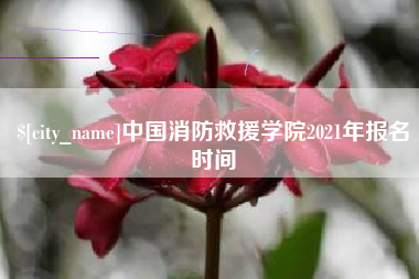 张掖中国消防救援学院2021年报名时间