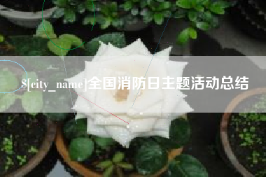 张掖全国消防日主题活动总结
