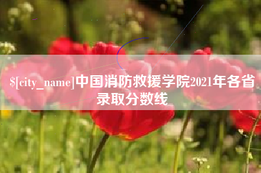 张掖中国消防救援学院2021年各省录取分数线