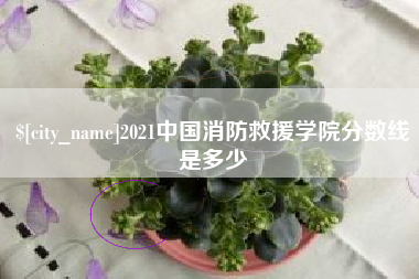 张掖2021中国消防救援学院分数线是多少
