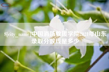 张掖中国消防救援学院2021年山东录取分数线是多少