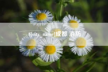 张掖成都 消防