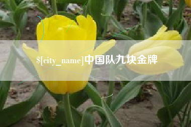 张掖中国队九块金牌