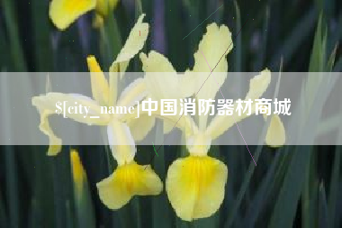 张掖中国消防器材商城