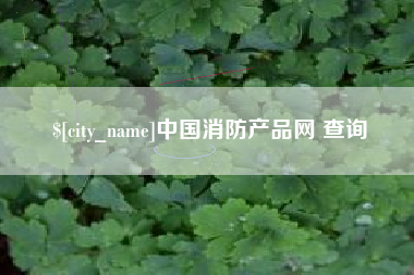 张掖中国消防产品网 查询
