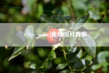 张掖金牌图片真实