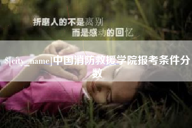 张掖中国消防救援学院报考条件分数