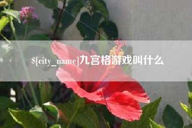 张掖九宫格游戏叫什么
