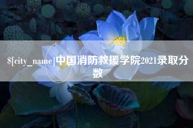 张掖中国消防救援学院2021录取分数