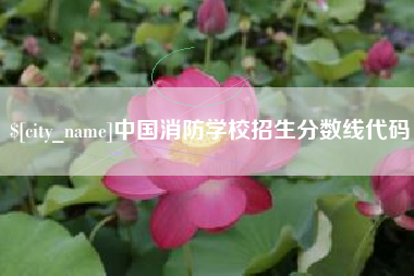 张掖中国消防学校招生分数线代码