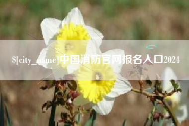 张掖中国消防官网报名入口2024