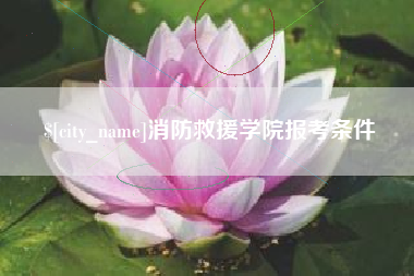 张掖消防救援学院报考条件