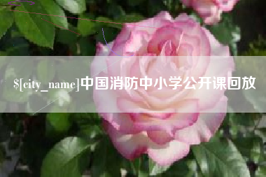 张掖中国消防中小学公开课回放