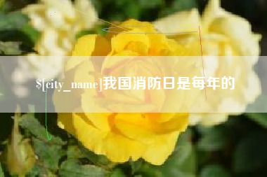 张掖我国消防日是每年的