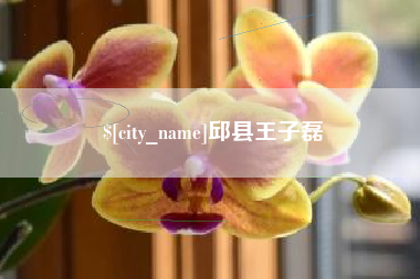 张掖邱县王子磊