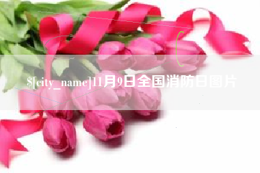 张掖11月9日全国消防日图片