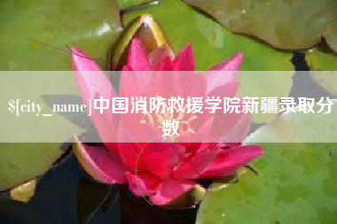 张掖中国消防救援学院新疆录取分数