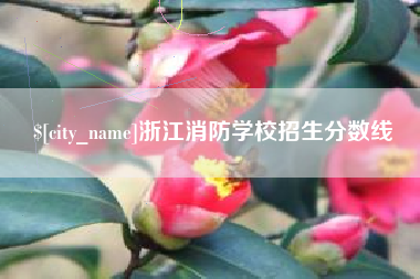 张掖浙江消防学校招生分数线