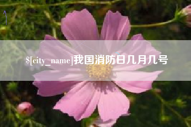 张掖我国消防日几月几号