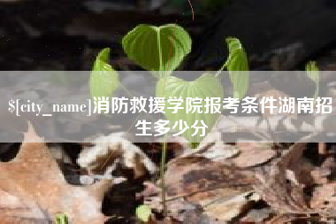 张掖消防救援学院报考条件湖南招生多少分