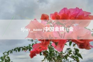 张掖中国金牌18金